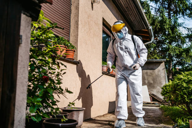 Best Best Pest Control Companies  in Auburndale, FL