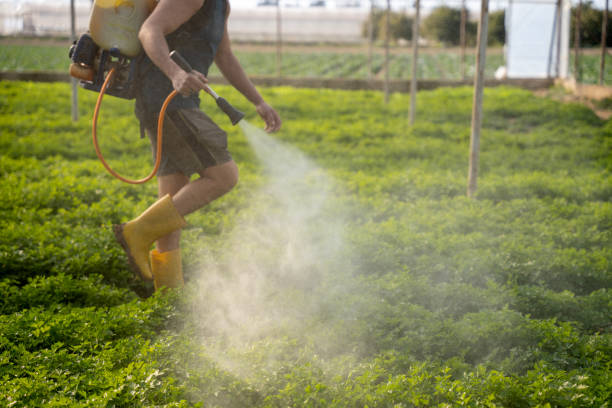 Pest Prevention Services in Auburndale, FL
