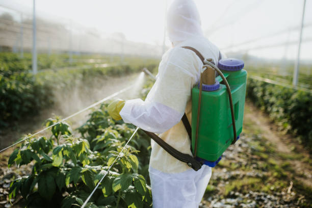 Wildlife Control Services in Auburndale, FL